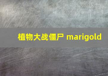 植物大战僵尸 marigold